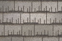 Roofmaster-Birchbark