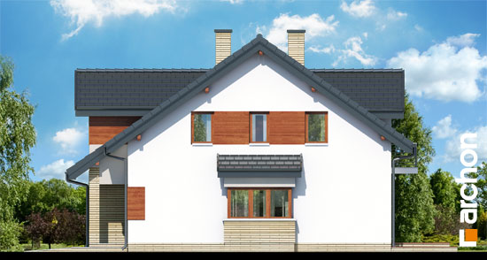 Maja võililledes (N) vaade