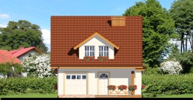 Maja võililledes vaade