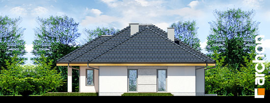 Maja sinningiates 2 vaade