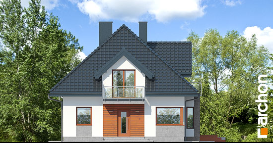 Maja juudapuulehikutes (P) vaade