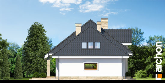 Maja hüatsintides (G2) vaade