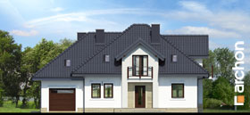 Maja hüatsintides vaade