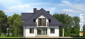 Maja hüatsintides vaade