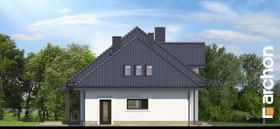 Maja hüatsintides vaade