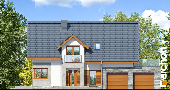 Maja leetpõõsastes (G2) vaade