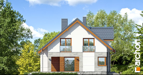 Maja leetpõõsastes (G2) vaade