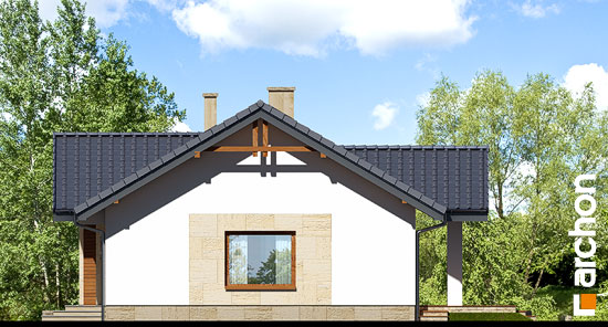 Maja sarapuudes vaade