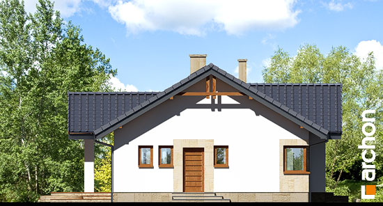 Maja sarapuudes vaade