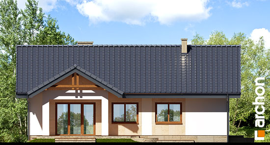 Maja sarapuudes vaade