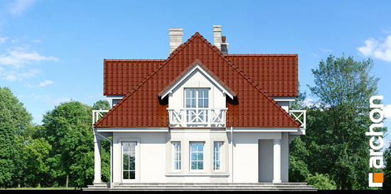 Maja levkoides (G2) vaade