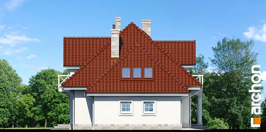 Maja levkoides (G2) vaade