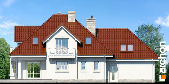 Maja levkoides (G2) vaade