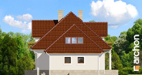 Maja levkoides (P) vaade