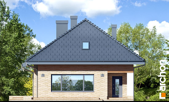 Maja sirelites 3 vaade