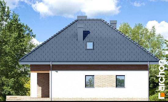 Maja sirelites 3 vaade