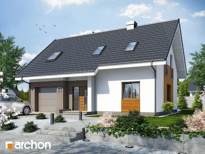 Maja laimkinkanipuudes