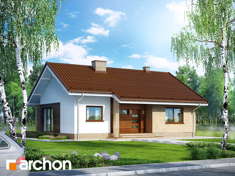 Maja harilikes sparmanniates