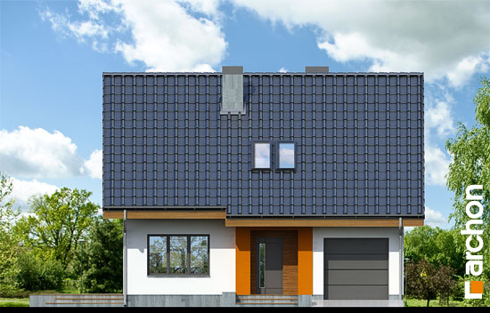 Maja lutsernides 4 vaade