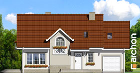 Maja lagritsapõõsas 3 vaade