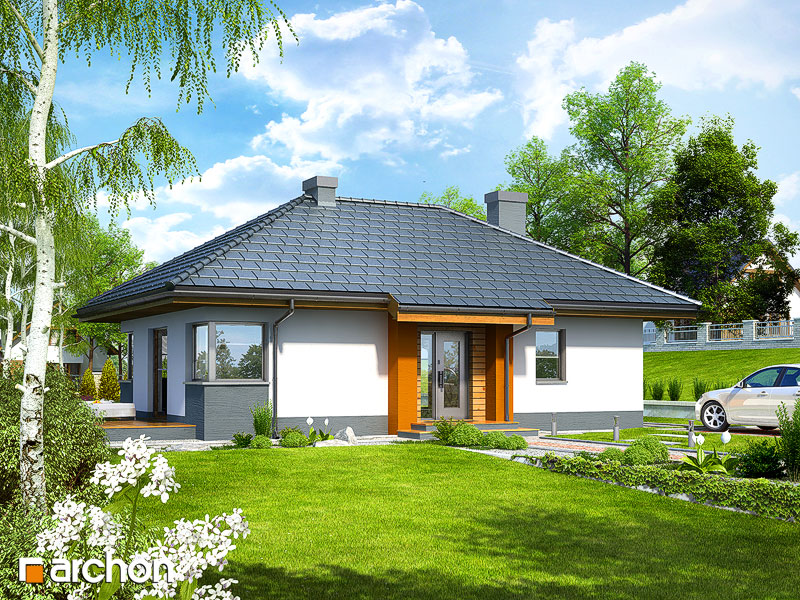 Maja võluheinikutes