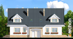 Maja vaarikates vaade