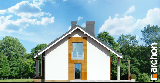 Maja Miniatuurne 2 (N) vaade