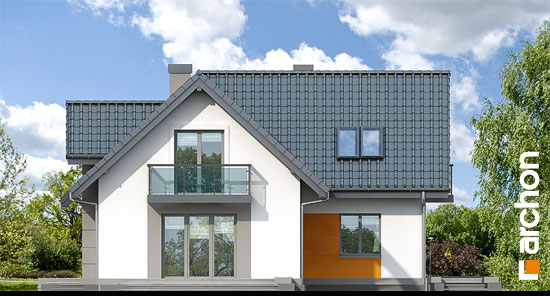 Maja harilikes võililledes 2 vaade