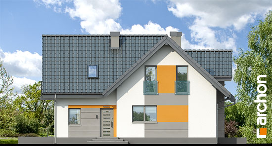 Maja harilikes võililledes 2 vaade