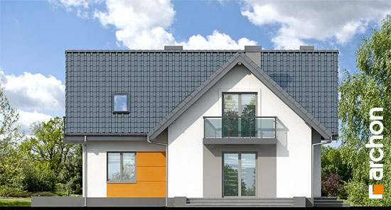 Maja harilikes võililledes 2 vaade