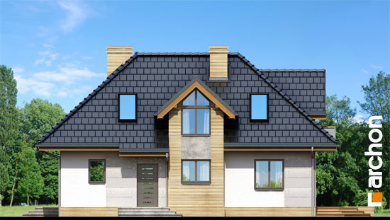 Maja harilikes võililledes vaade