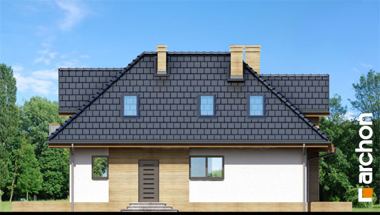 Maja harilikes võililledes vaade