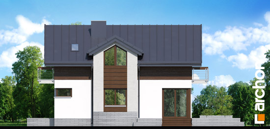 Maja aprikoosipuudes 3 vaade