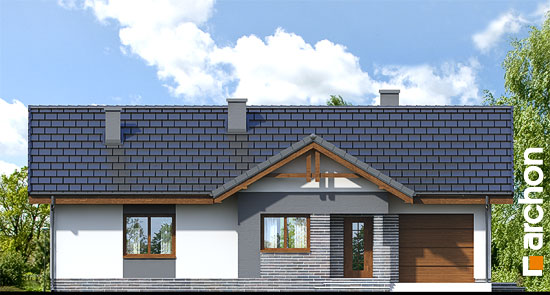 Maja neriinides vaade