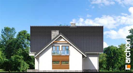 Maja punes (N) vaade