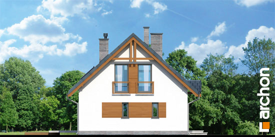 Maja metsmaasikates 3 vaade