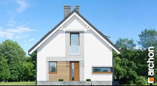 Maja rododendronites 11 (N) vaade