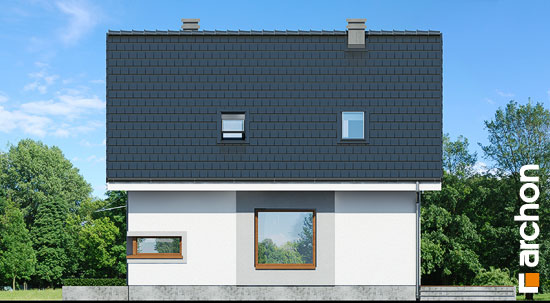 Maja rododendronites 11 (N) vaade