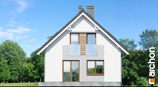 Maja rododendronites 11 (N) vaade