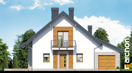 Maja rododendronites 4 (N) vaade