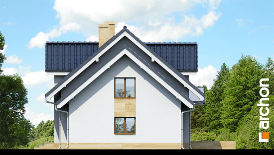 Maja rododendronites 6 (A) vaade