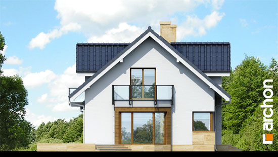 Maja rododendronites 6 (A) vaade