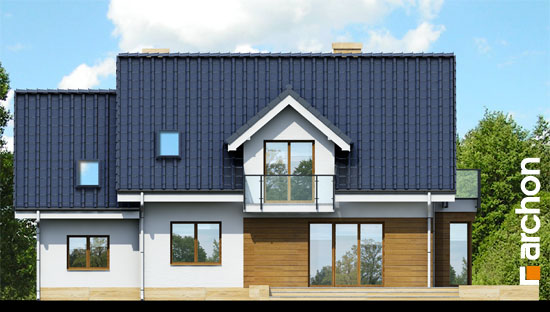 Maja rododendronites 6 (A) vaade