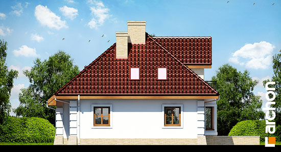 Maja põld-võõrkapsastes 2 vaade