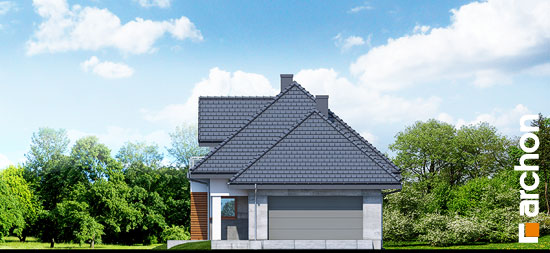 Maja põld-võõrkapsastes 3 (N) vaade