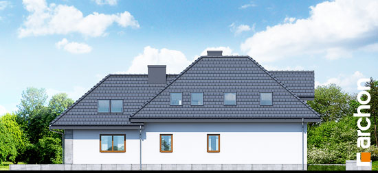 Maja põld-võõrkapsastes 3 (N) vaade