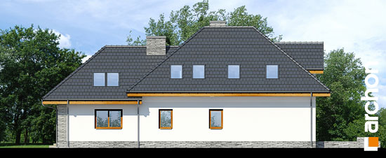 Maja põld-võõrkapsastes 3 (NA) vaade