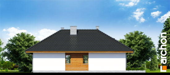 Maja aed-piimjuurtes vaade