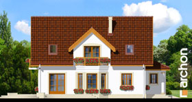 Maja silmarohus vaade