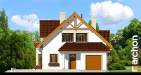 Maja silmarohus vaade